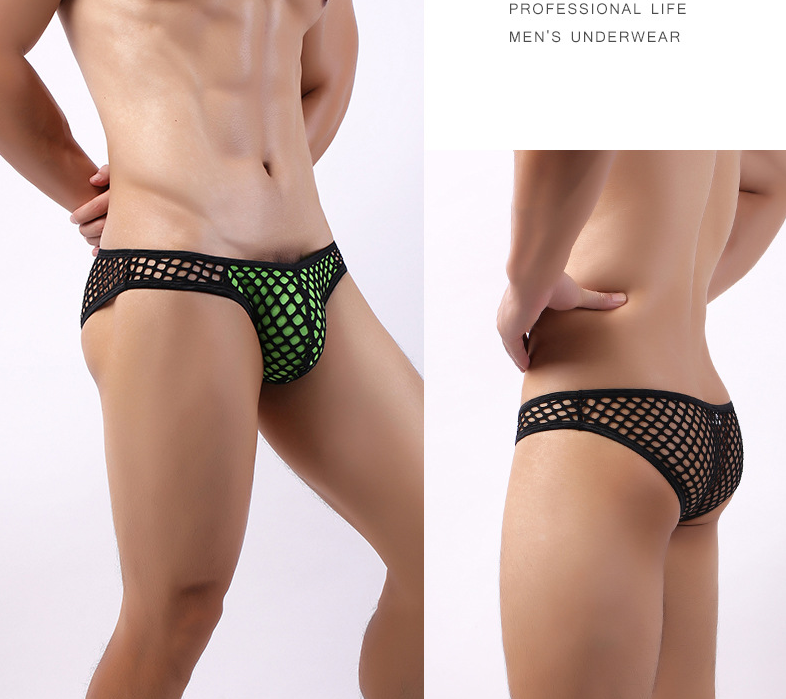 Mesh brief